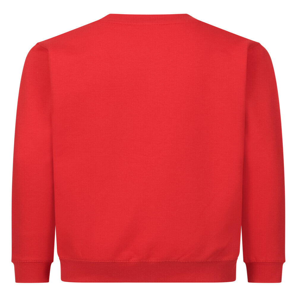 Image for color: red