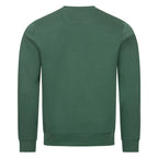 Image for color: varsity green