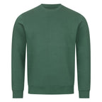 Image for color: varsity green